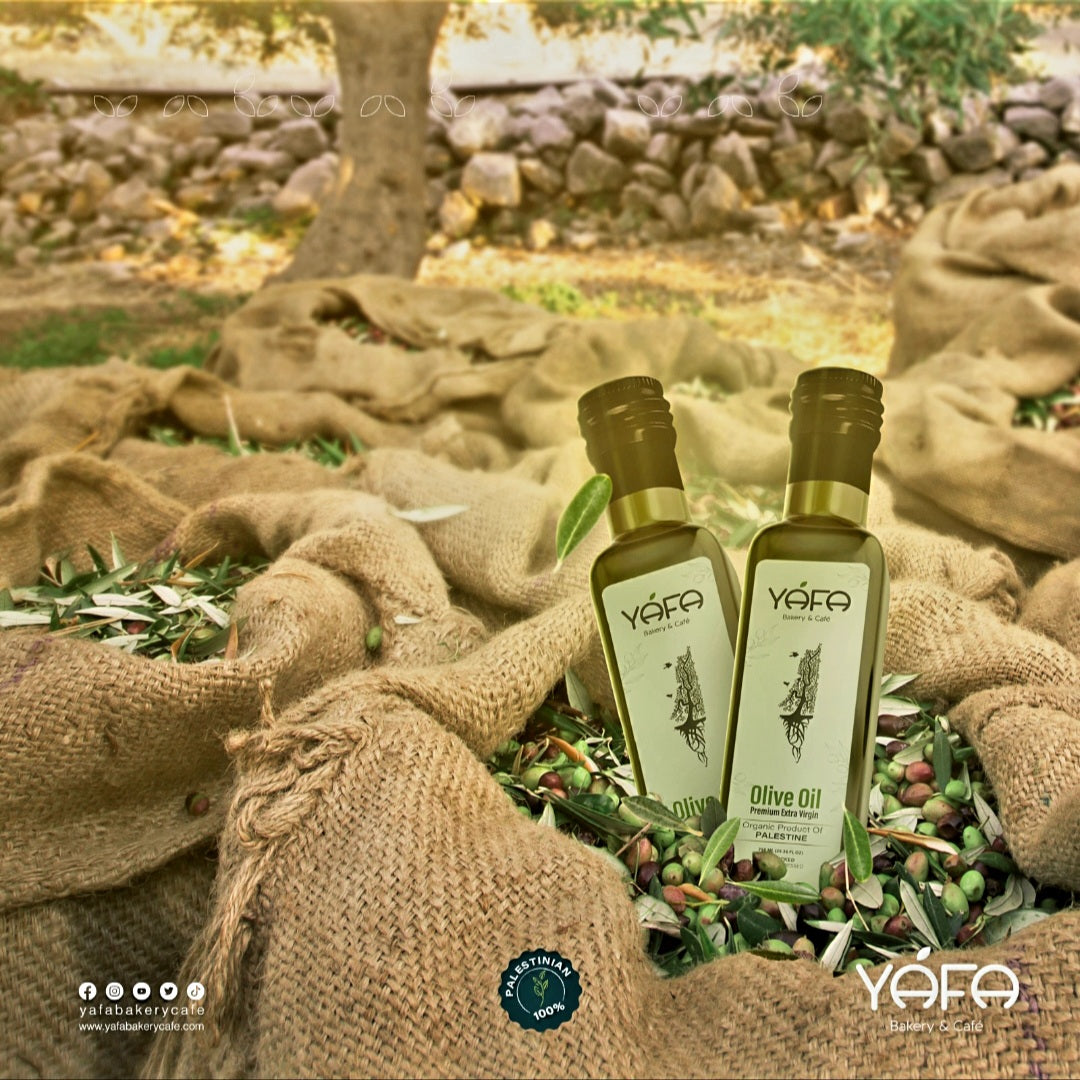 Organic Palestinian Olive Oil