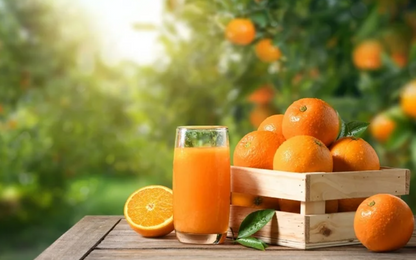 Yafa Orange Juice